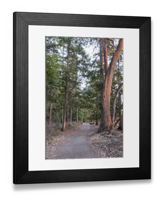 Framed Print : North America, Canada, British Columbia, Sidney Island Framed Print : North America, Canada, British Columbia, Sidney Island