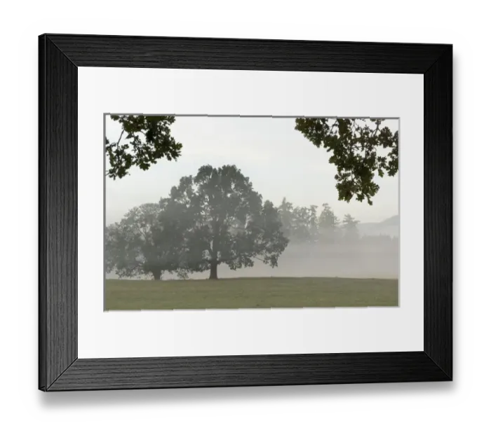 Framed Print : Canada, British Columbia, Vancouver Island, Cowichan Valley