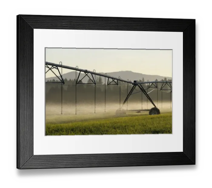 Framed Print : Canada, British Columbia, Vancouver Island, Cowichan Valley