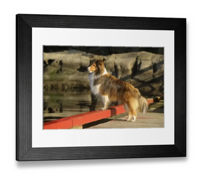 Framed Print : Canada, British Columbia, Gulf Islands, Wallace Island Framed Print : Canada, British Columbia, Gulf Islands, Wallace Island