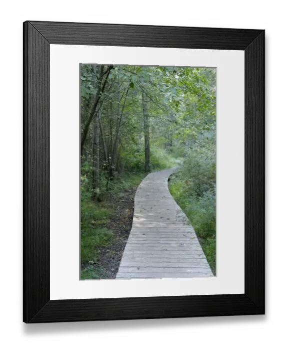 Framed Print : Canada, British Columbia, Gulf Islands, Portland Island Framed Print : Canada, British Columbia, Gulf Islands, Portland Island
