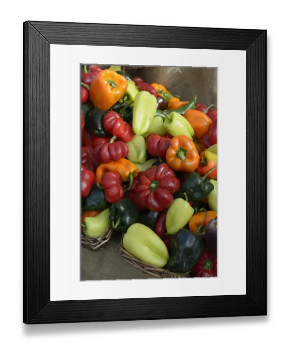 Framed Print : Canada, British Columbia, Salt Spring Island, Ganges Framed Print : Canada, British Columbia, Salt Spring Island, Ganges