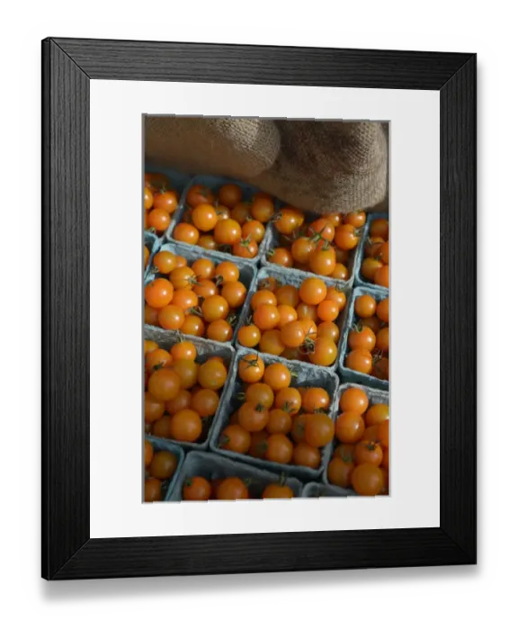 Framed Print : Canada, British Columbia, Salt Spring Island, Ganges. Orange cherry tomatoes in baskets Framed Print : Canada, British Columbia, Salt Spring Island, Ganges. Orange cherry tomatoes in baskets
