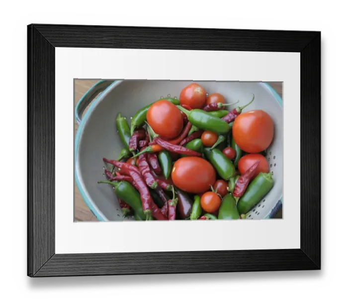 Framed Print : Canada, British Columbia, Cowichan Valley. Tomatoes and hot peppers in a colander