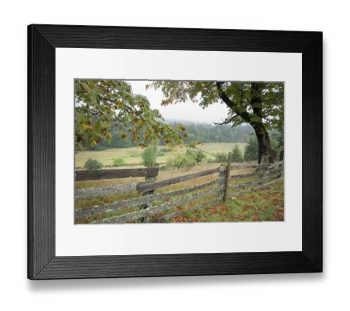 Framed Print : Canada, British Columbia, Cowichan Valley. Rustic wooden fence on an old farm Framed Print : Canada, British Columbia, Cowichan Valley. Rustic wooden fence on an old farm