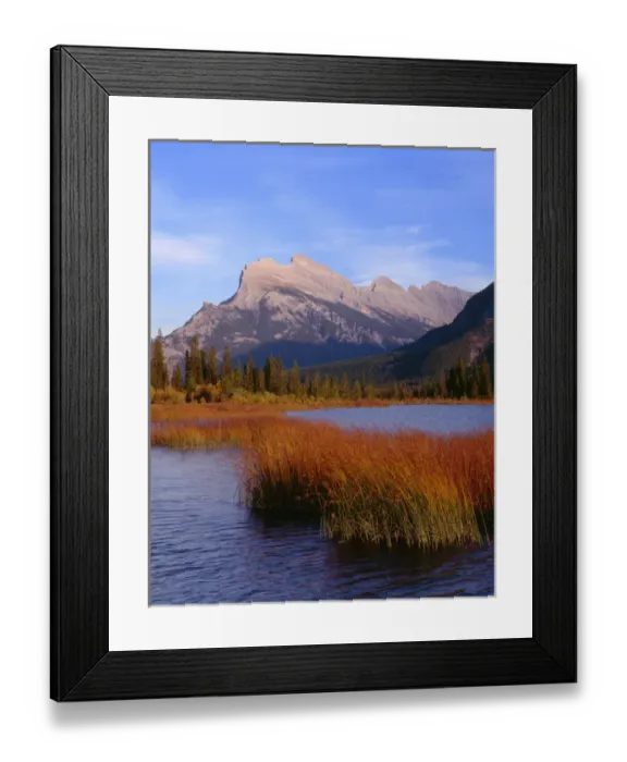 Framed Print : Canada, Alberta, Banff National Park, Marsh grass in Vermilion Lakes and Mount Rundle Framed Print : Canada, Alberta, Banff National Park, Marsh grass in Vermilion Lakes and Mount Rundle