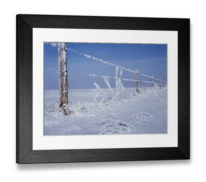 Framed Print : Canada, Manitoba, Dugald, View of hoarfrost and fence