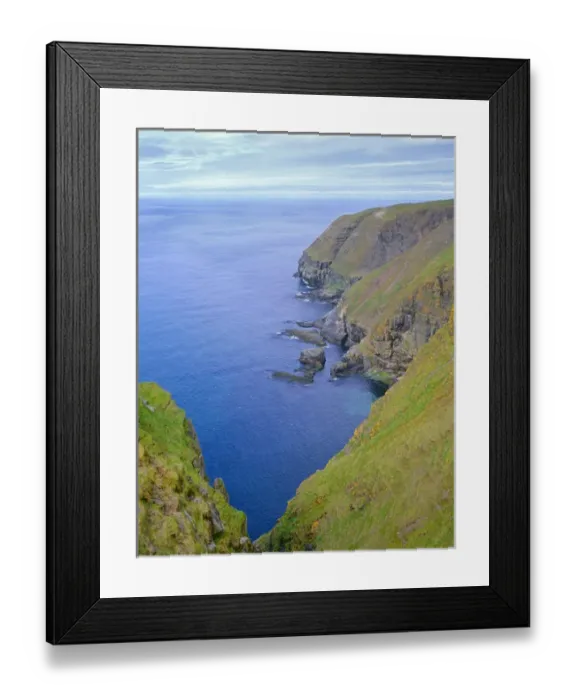 Framed Print : Canada, Newfoundland, Cape Saint Marys Ecological Reserve, Steep cliffs lead Framed Print : Canada, Newfoundland, Cape Saint Marys Ecological Reserve, Steep cliffs lead