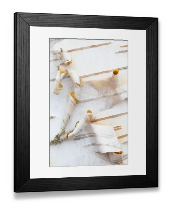Framed Print : Canada, Quebec, Mount St-Bruno Conservation Park. White birch bark detail. Credit as: Gilles Delisle  /  Jaynes Gallery  /  DanitaDelimont. com