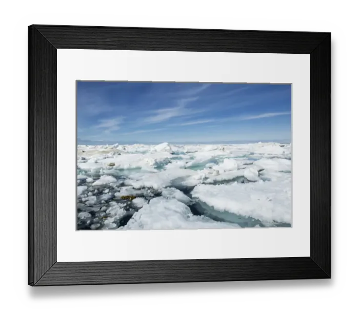 Framed Print : Canada, Nunavut Territory, Midday summer sun lights melting sea ice in Hudson Bay