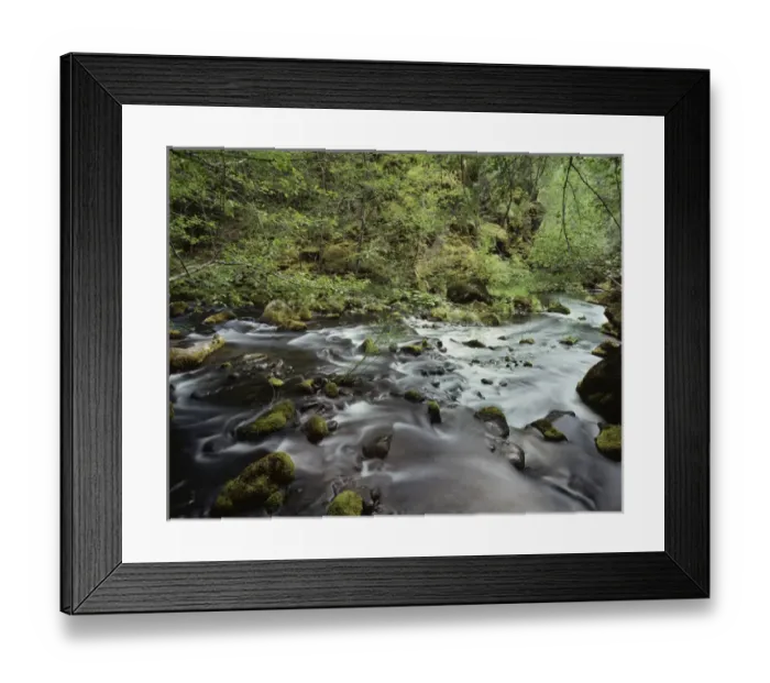 Framed Print : CTF-1594 Framed Print : CTF-1594