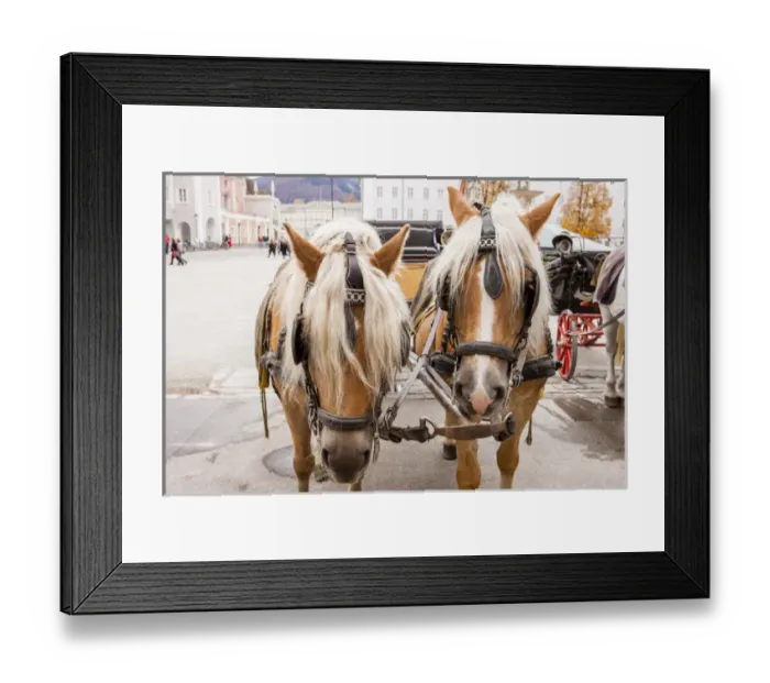 Framed Print : RM. Cityscape. Horse carriage. Salzburg. Austria