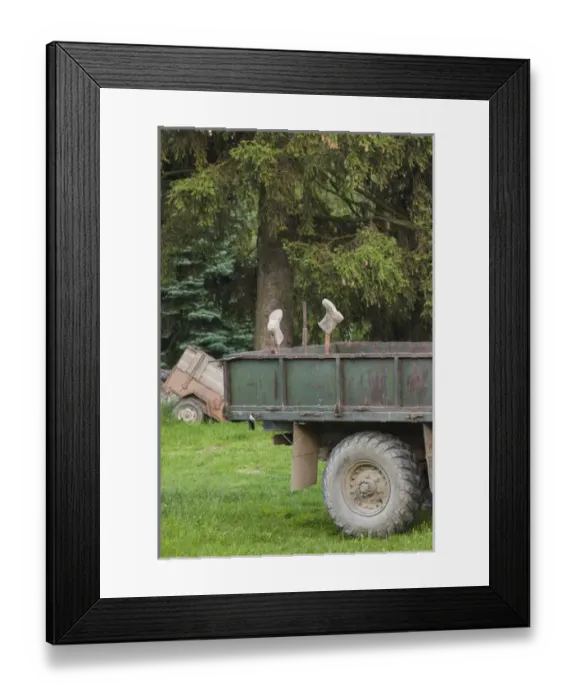 Framed Print : Bulgaria, Central Mountains, Koprivshtitsa, old GAZ Russian truck with boots Framed Print : Bulgaria, Central Mountains, Koprivshtitsa, old GAZ Russian truck with boots