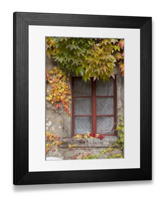 Framed Print : Czech Republic, Liberec, Skala. The Skala castle was founded sometime before 1353