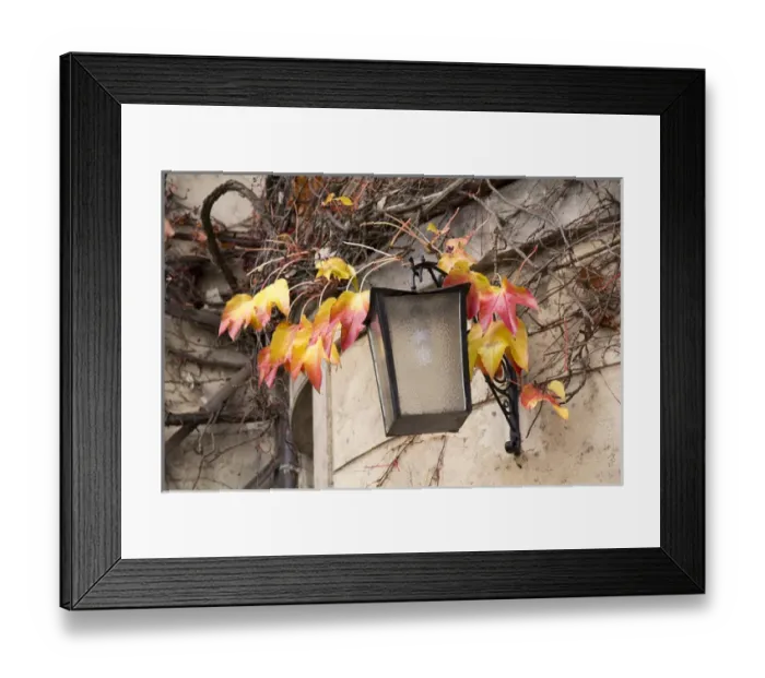 Framed Print : Czech Republic, Liberec, Skala. The Skala castle was founded sometime before 1353 Framed Print : Czech Republic, Liberec, Skala. The Skala castle was founded sometime before 1353