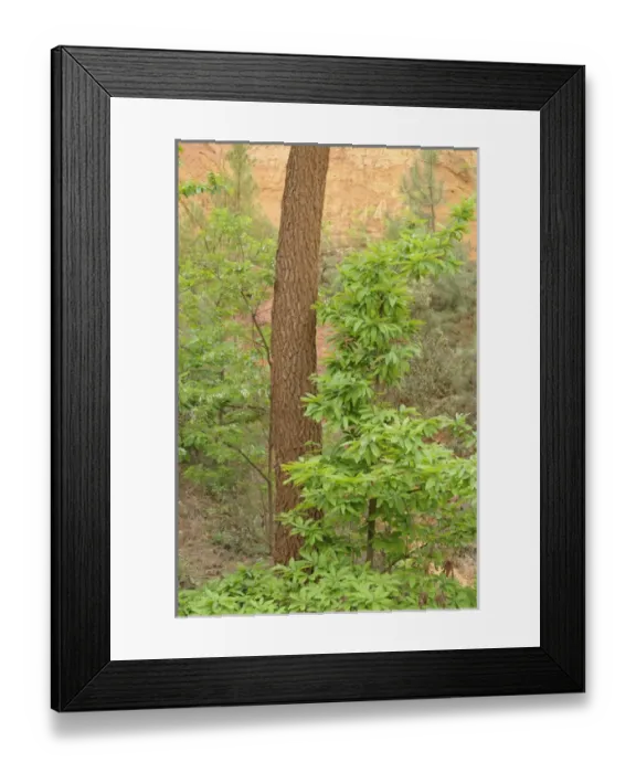 Framed Print : Europe, France, Provence-Alpes-Cote d Azur, Vaucluse, Roussillon