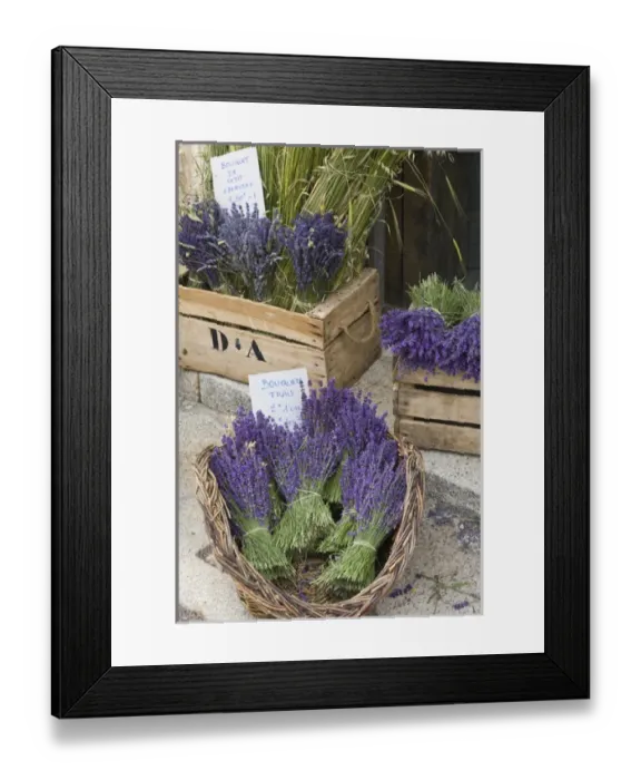 Framed Print : France, Provence, Sault. Bunches of cut lavender for sale at a shop Framed Print : France, Provence, Sault. Bunches of cut lavender for sale at a shop