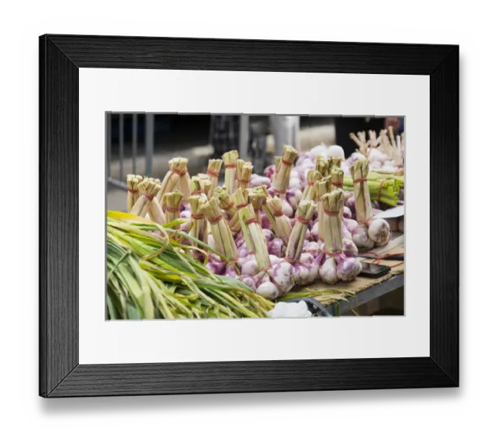 Framed Print : France, Southern France, St. Remy. Local Street market, garlic and onions Framed Print : France, Southern France, St. Remy. Local Street market, garlic and onions