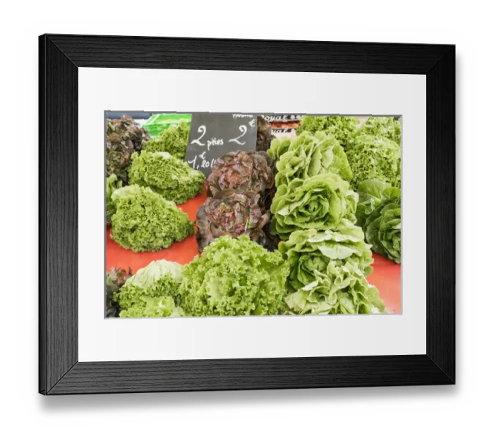 Framed Print : France, Southern France, St. Remy. Street market. Lettuce Framed Print : France, Southern France, St. Remy. Street market. Lettuce
