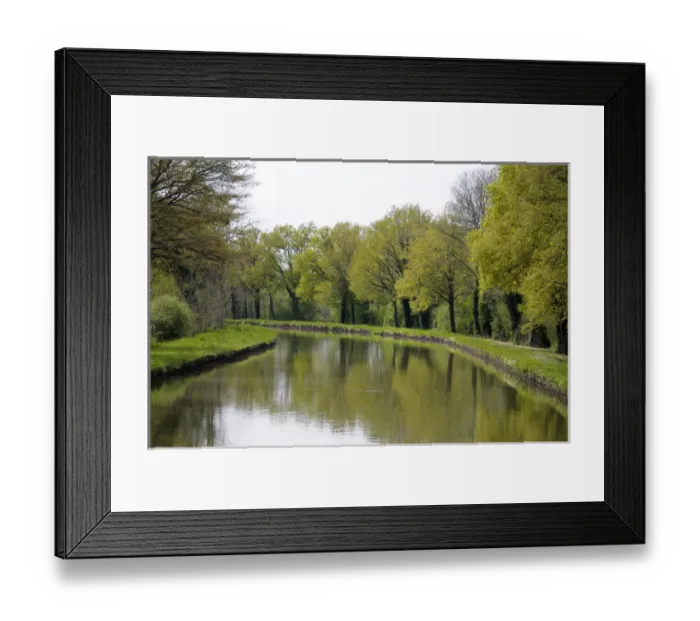 Framed Print : Europe, France, Loire. Trees lining the Canal lateral a la Loire Framed Print : Europe, France, Loire. Trees lining the Canal lateral a la Loire