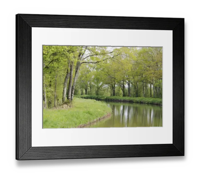 Framed Print : Europe, France, Loire. Spring trees and grasses, Canal lateral a la Loire Framed Print : Europe, France, Loire. Spring trees and grasses, Canal lateral a la Loire