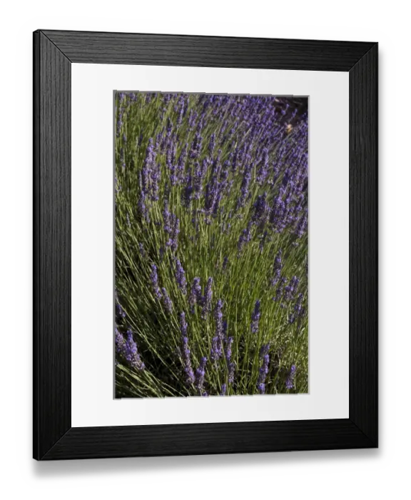 Framed Print : Roussillon, Provence, France Framed Print : Roussillon, Provence, France