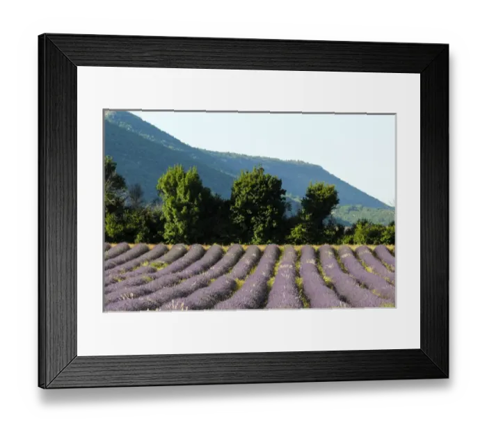 Framed Print : Sault, Provence, France Framed Print : Sault, Provence, France