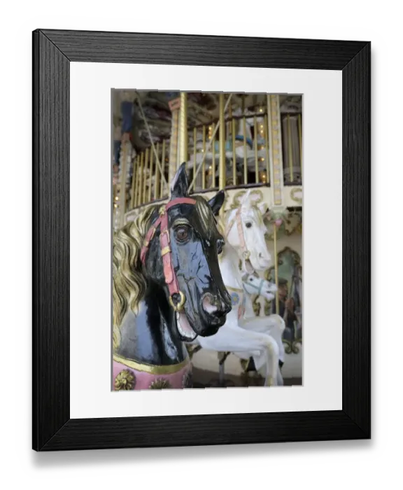 Framed Print : Europe, France, Rhone-Alpes, Lyon. Horse carousel, Place de la Republique