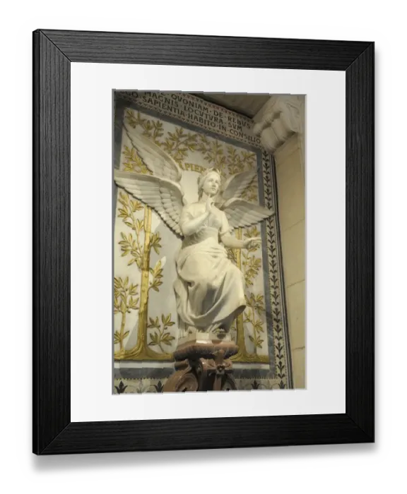 Framed Print : Europe, France, Rhone-Alpes, Lyon. Basilica Notre-Dame de Fourviere