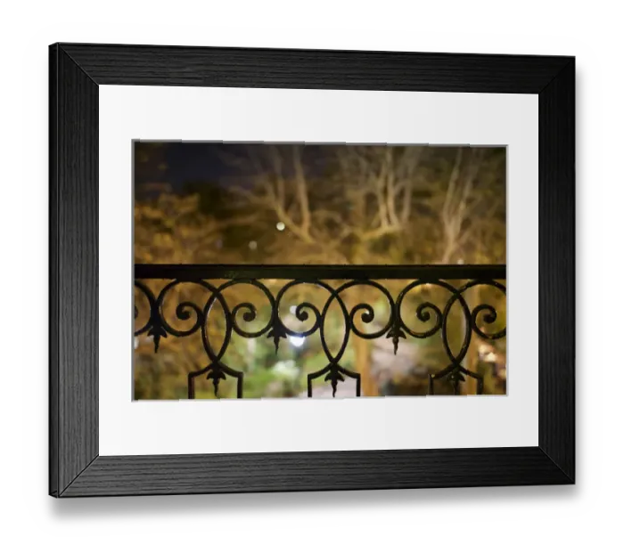 Framed Print : Paris, France: Autumn trees seen from my hotels room Framed Print : Paris, France: Autumn trees seen from my hotels room