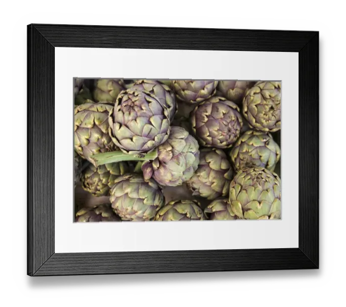 Framed Print : Grown in the Aquitaine provence of France, these artichokes were being sold Framed Print : Grown in the Aquitaine provence of France, these artichokes were being sold