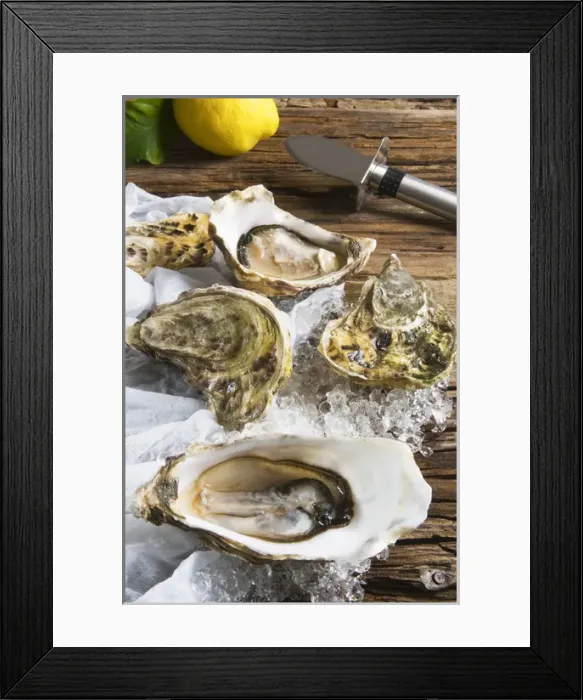 Framed Print : Oysters on ice (Ostrea edulis) Framed Print : Oysters on ice (Ostrea edulis)