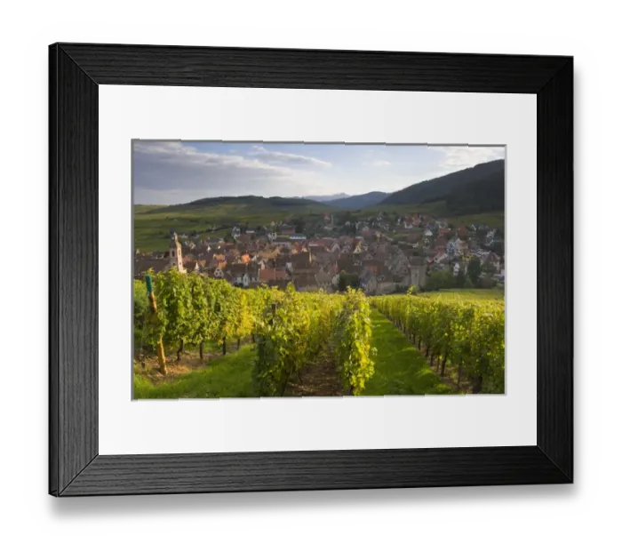Framed Print : Old wine town of Riquewihr & vineyard, Alsace, France Framed Print : Old wine town of Riquewihr & vineyard, Alsace, France