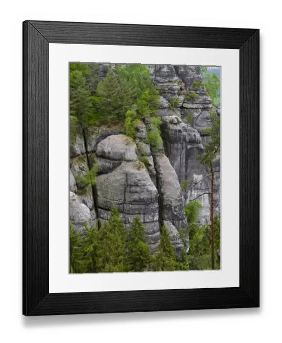 Framed Print : Elbe Sandstone Mountains (Elbsandsteingebirge) in the Saxon Switzerland NP (Saechsische Framed Print : Elbe Sandstone Mountains (Elbsandsteingebirge) in the Saxon Switzerland NP (Saechsische