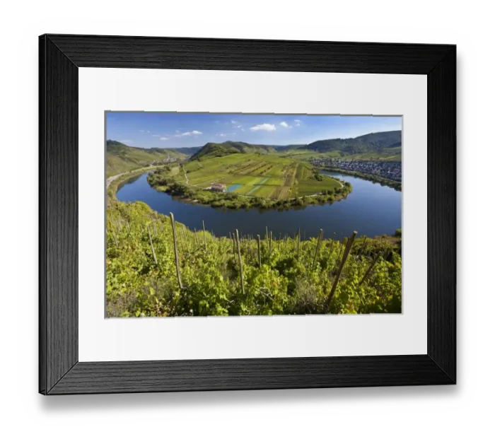 Framed Print : The historic village of Bremm is on a horseshoe bend in the river the Mosel Bend