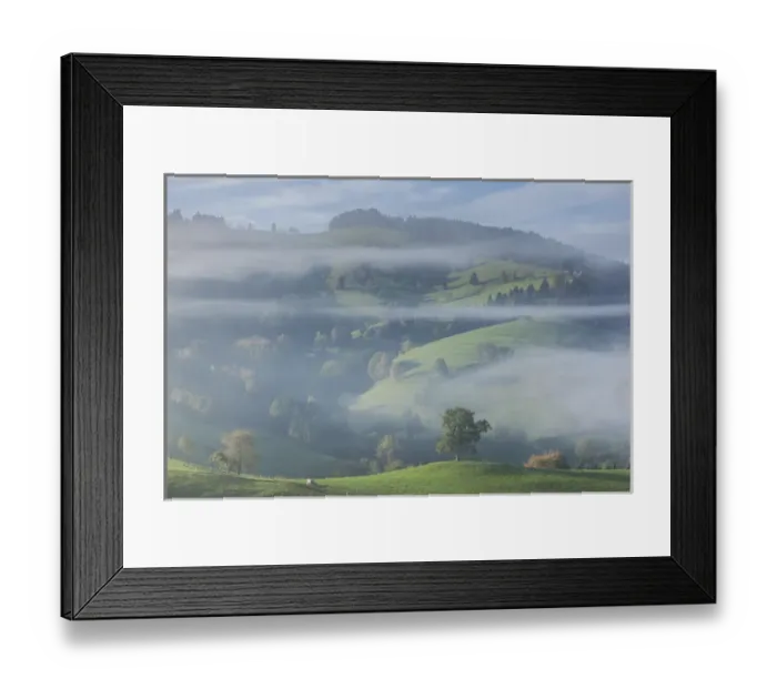 Framed Print : Germany, Baden-Wurttemburg, Black Forest, Horben, morning fog, autumn Framed Print : Germany, Baden-Wurttemburg, Black Forest, Horben, morning fog, autumn