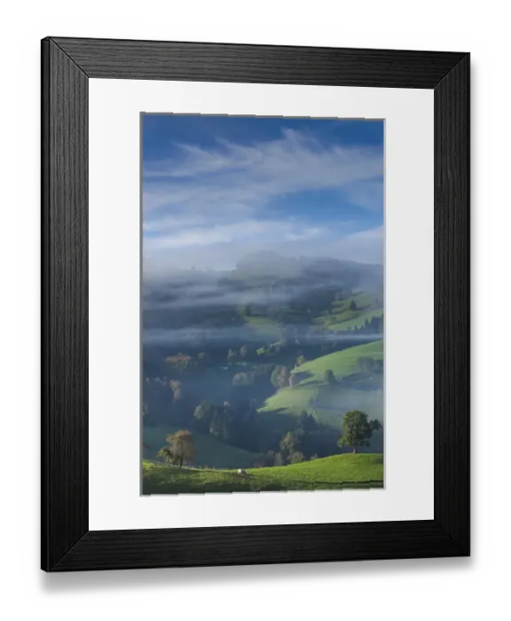 Framed Print : Germany, Baden-Wurttemburg, Black Forest, Horben, morning fog, autumn