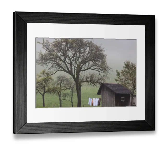 Framed Print : Germany, Baden-Wurttemburg, Black Forest, Munstertal, autumn landscape with trees Framed Print : Germany, Baden-Wurttemburg, Black Forest, Munstertal, autumn landscape with trees
