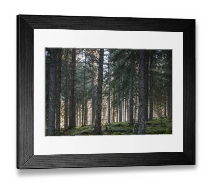 Framed Print : Germany, Baden-Wurttemburg, Black Forest, Titisee-Neustadt, Neustadt town, morning Framed Print : Germany, Baden-Wurttemburg, Black Forest, Titisee-Neustadt, Neustadt town, morning
