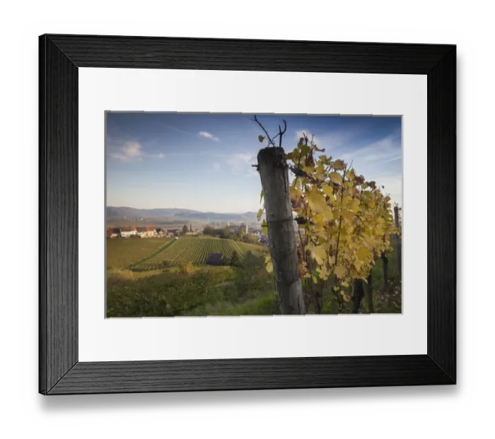 Framed Print : Germany, Baden-Wurttemburg, Burkheim, Kaiserstuhl Area, vineyards elevated village view