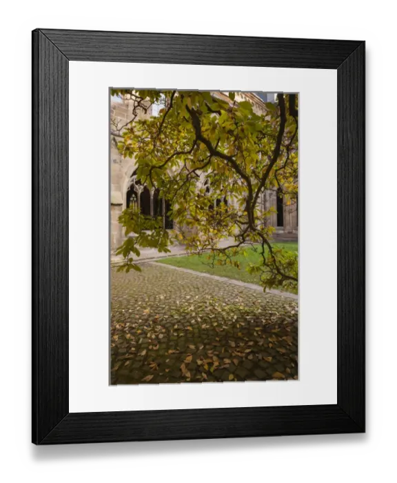 Framed Print : Germany, Baden-Wurttemburg, Maulbronn, Kloster Maulbronn Abbey, cloister, exterior Framed Print : Germany, Baden-Wurttemburg, Maulbronn, Kloster Maulbronn Abbey, cloister, exterior