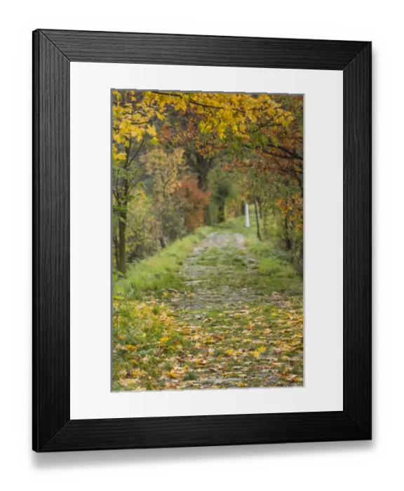 Framed Print : Germany, Rheinland-Pfalz, St. Goarhausen, pathway to the statue of Die Loreley mermaid Framed Print : Germany, Rheinland-Pfalz, St. Goarhausen, pathway to the statue of Die Loreley mermaid
