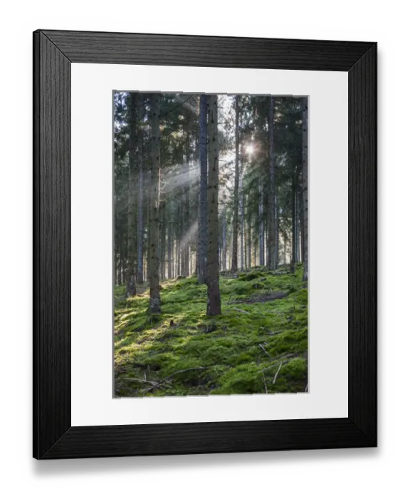 Framed Print : Germany, Baden-Wurttemburg, Black Forest, Titisee-Neustadt, Neustadt town, morning Framed Print : Germany, Baden-Wurttemburg, Black Forest, Titisee-Neustadt, Neustadt town, morning