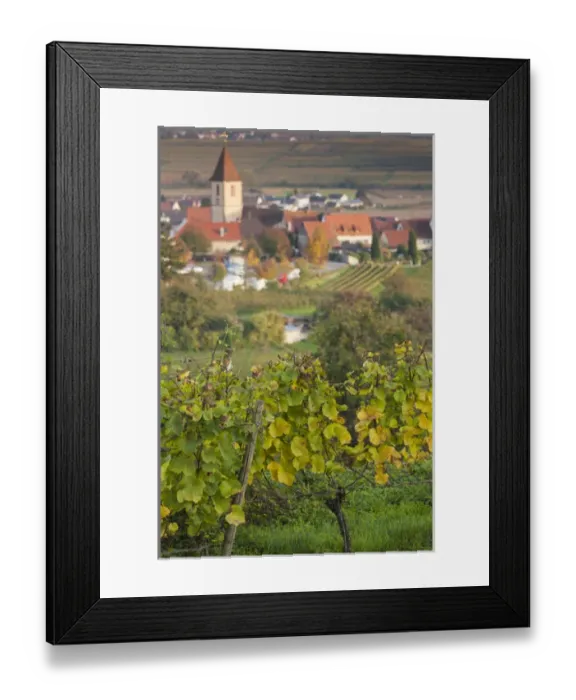 Framed Print : Germany, Baden-Wurttemburg, Burkheim, Kaiserstuhl Area, vineyards elevated village view Framed Print : Germany, Baden-Wurttemburg, Burkheim, Kaiserstuhl Area, vineyards elevated village view