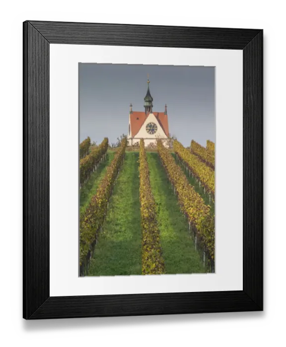 Framed Print : Germany, Baden-Wurttemburg, Kaiserstuhl Area, Endingen, elevated view of the Peterkirche church Framed Print : Germany, Baden-Wurttemburg, Kaiserstuhl Area, Endingen, elevated view of the Peterkirche church