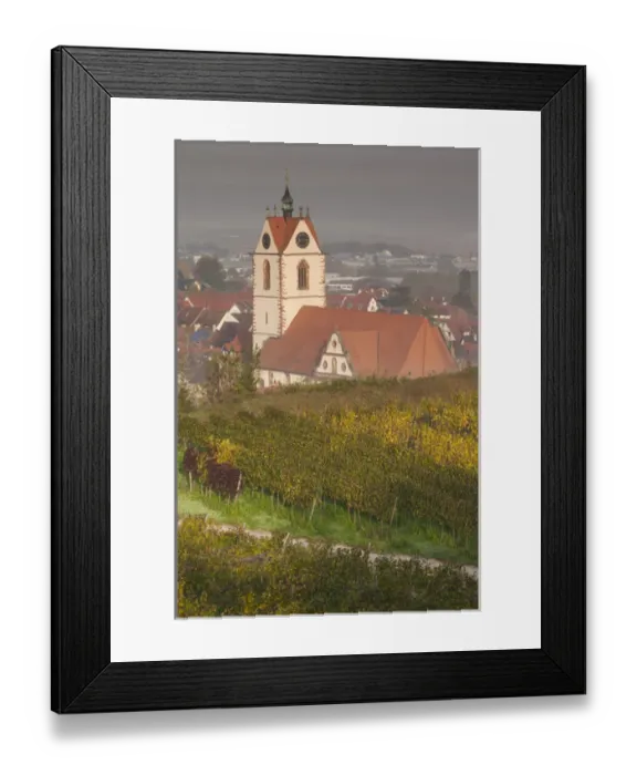 Framed Print : Germany, Baden-Wurttemburg, Kaiserstuhl Area, Endingen, elevated view of the Peterkirche church Framed Print : Germany, Baden-Wurttemburg, Kaiserstuhl Area, Endingen, elevated view of the Peterkirche church