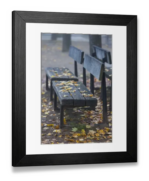 Framed Print : Germany, Rheinland-Pfalz, Speyer, Domgarten, cathedral park, fog, morning Framed Print : Germany, Rheinland-Pfalz, Speyer, Domgarten, cathedral park, fog, morning