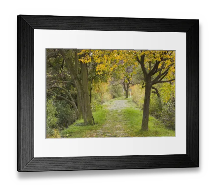 Framed Print : Germany, Rheinland-Pfalz, St. Goarhausen, pathway to the statue of Die Loreley mermaid Framed Print : Germany, Rheinland-Pfalz, St. Goarhausen, pathway to the statue of Die Loreley mermaid