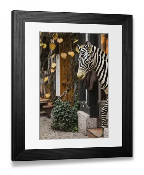 Framed Print : Germany, Hesse, Limburg an der Lahn, zebra statue