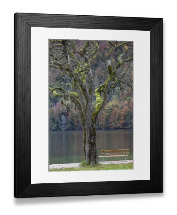 Framed Print : Germany, Bavaria, Konigsee, St. Bartholoma, fall foliage